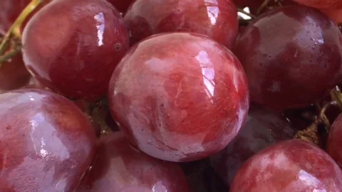Red Grapes White background wet water droplet, authentic motion rain water Stock Footage 80716891