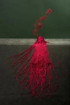 Red grapevine with long red strands on a green background Stock Photos
