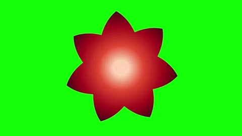 Red Green Flower Screen Horizontal 16:9 Green Screen Stock Footage 340461349