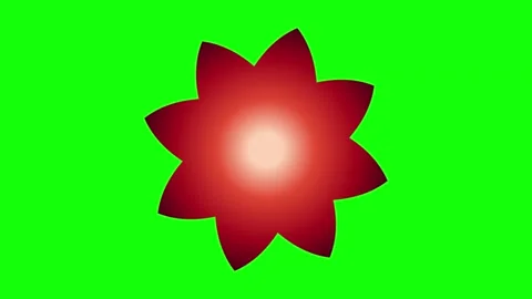 Red Green Flower Screen Horizontal 16:9 Green Screen Stock Footage 340461351