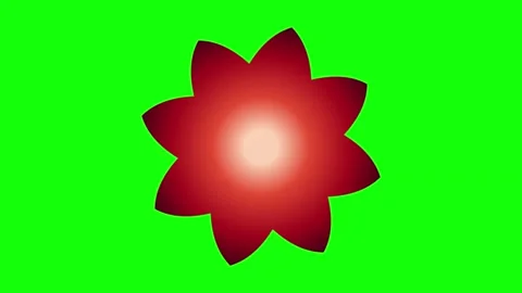 Red Green Flower Screen Horizontal 16:9 Green Screen Stock-Footage 340461379