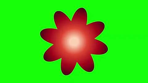 Red Green Flower Screen Horizontal 16:9 Green Screen 스톡 동영상 340461382