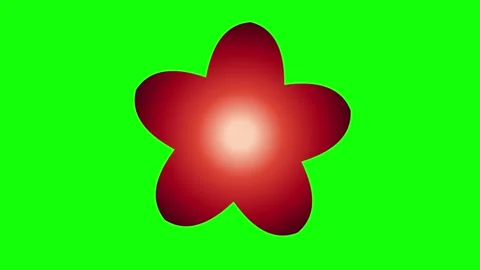 Red Green Flower Screen Horizontal 16:9 Green Screen Vidéo 340461385