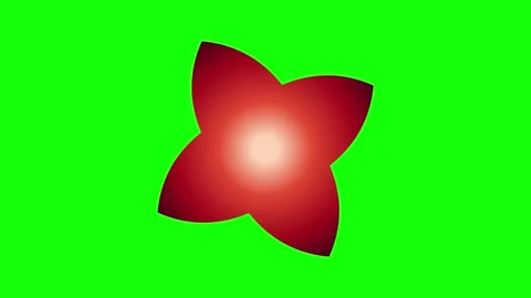 Red Green Flower Star Horizontal 16:9 Green Screen Vídeo Stock 340461332