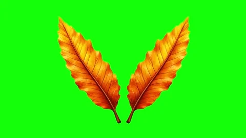 Red, Green, White Screen on Green Screen Background Horizontal 16:9 Stock Footage 339443594