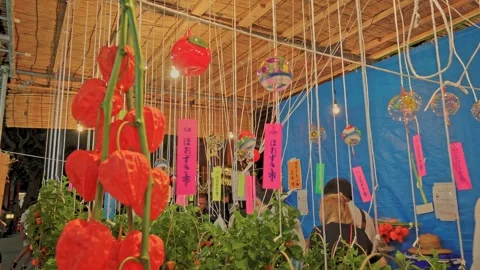 Red Ground Cherry Clusters Hanging Beside Wind Chimes at Festival Stall 動画素材 342710537