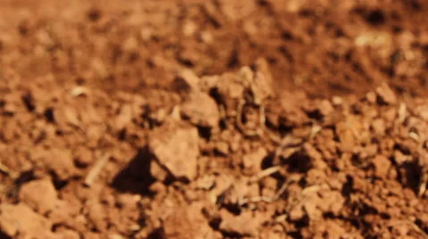 Red ground Stock Footage 47724231