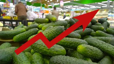 Red growing up large arrow on background of green cucumbers in supermarket. Foto stock