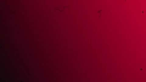 Red grunge background, abstract pattern smooth  flows organic, copy space hd, Stock Footage 297342728