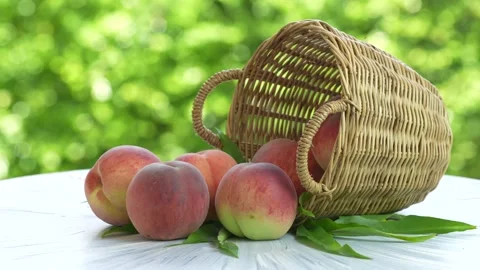 Red Guava fruit with leaf on blur garden background, Fresh Pink Guava fruit on w Stock Footage 235959073