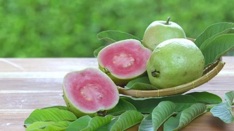 Red Guava fruit with leaf on blur garden background, Fresh Pink Guava fruit on w Stock Footage 235959208