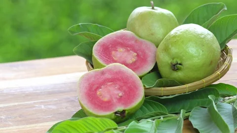 Red Guava fruit with leaf on blur garden background, Fresh Pink Guava fruit on w Stock Footage 235959256