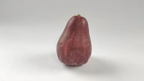 Red Guava on A White Background Stock Footage 299127905