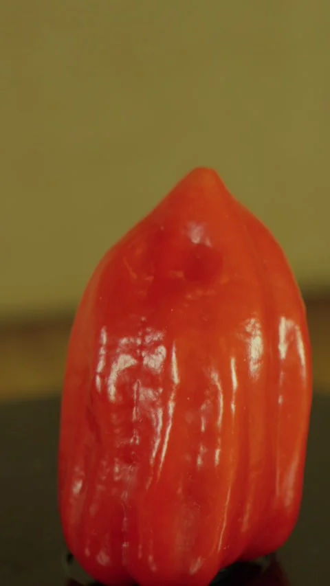 Red Habanero Pepper Rotating Close-Up Stock Footage 345423939