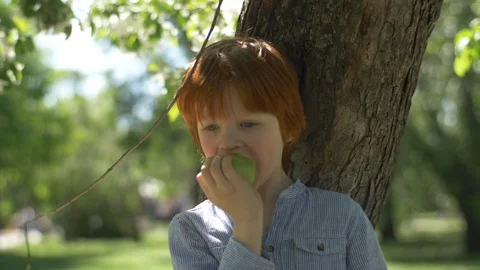 Red-haired boy eats an apple in the garden Stock Footage 91039078