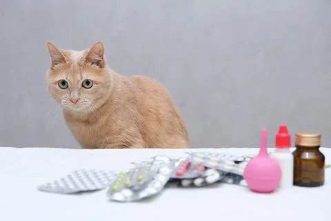 A red-haired cat sitting in front of a pile of medicines. Pet treatment. Stock Photos