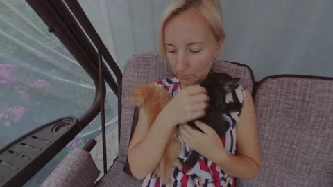 Red-haired cat takes care, looks after small kittens and contacts people Stock Footage 305237403