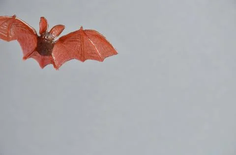 Red-haired decorative bat on a gray background. Halloween. Stock Photos