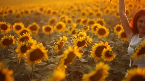 Red-haired girl dancing at sunset in a blooming field Stock Footage 92497965