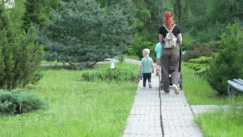 Red-haired mom walking with sons in pine garden Stock Footage 310551516