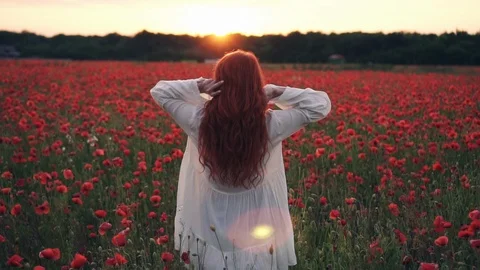 Red-haired woman throws her hair up standing in field of poppies in rays of Stock Footage 109178792