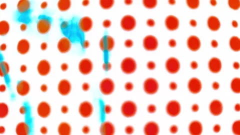 Red Halftone Pattern on a White Background Stock Footage 304913178