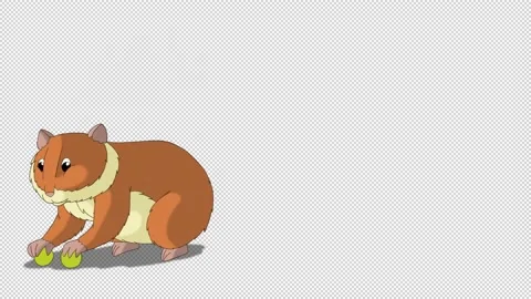 Red hamster eats peas alpha matte Stock Footage 173986035