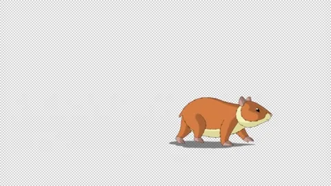 Red hamster walks back and forth alpha matte Stock Footage 173986027