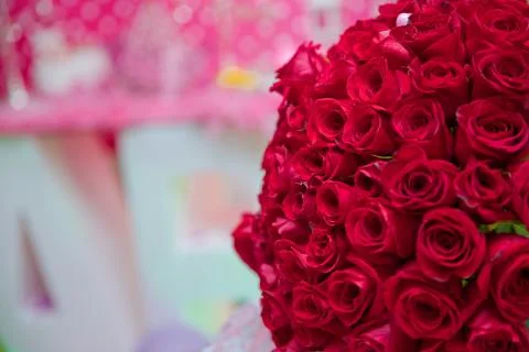 Red handread roses Foto stock