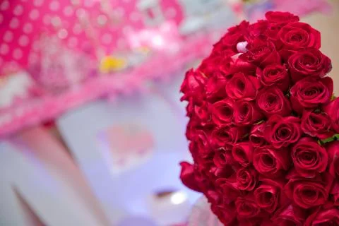 Red handread roses Stock Photos