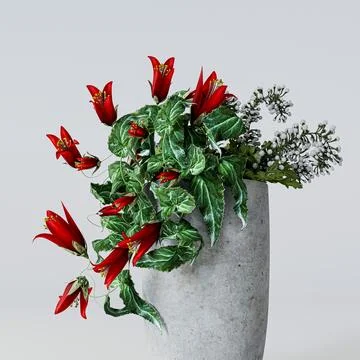 Red Hanging Flower isolated on white background Stock Illustration