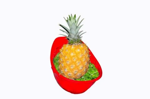 Red Hardhat with pineapple. Stock Photos