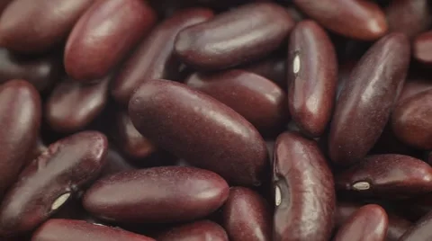 Red Haricot Beans. Close up. Macro shot. Stock Footage 61932983