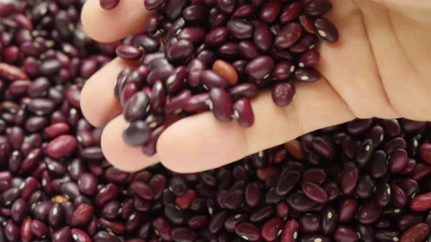 Red haricot beans Vídeo Stock 171535987