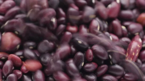 Red haricot beans Stock Footage 171536323