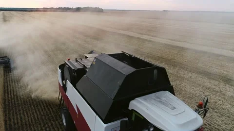 Red harvester machine cut wheat crop in rural field. Agriculture food production Stock Footage 139712825