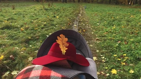Red hat in a pram in an autumn park Video stock 89185491