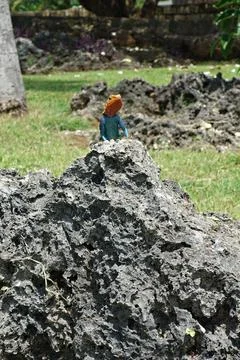 Red Head Agama Lizard basking on rock with neck up high Stock Photos