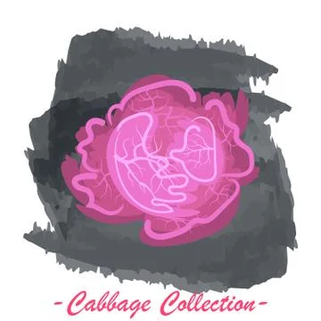 Red head vector isolated cabbage on a grunge background Ilustración de archivo