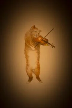 Red-headed cat Stock Illustration