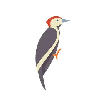 Red headed woodpecker bird perching on branch illustration Stock Illustration