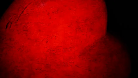 Red heart beat animation with dramatic lighting Stock Footage 310933041