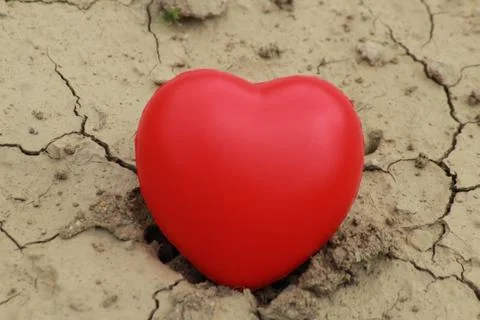 Red heart  in dried-up puddle Stock Photos