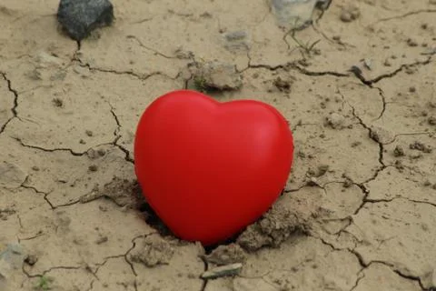 Red heart  in dried-up puddle Stock Photos