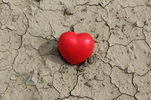 Red heart  in dried-up puddle Stock Photos