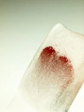 Red heart embedded in ice. Stock Photos