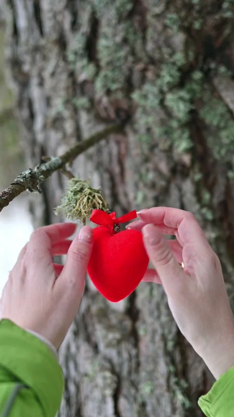 Red heart Stock Footage 297886640