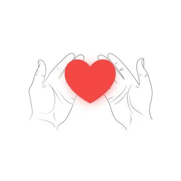 Red heart in hands  . Stock Illustration