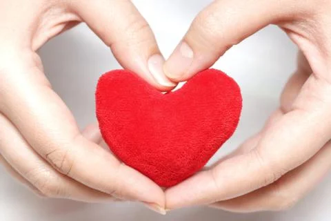 Red Heart in hands Stock Photos