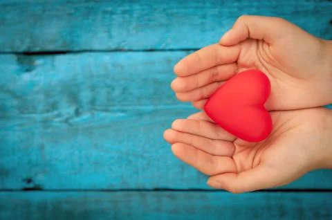 Red heart in the hands Stock Photos